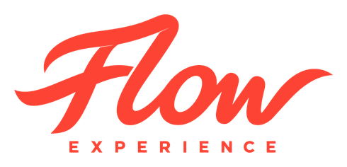 Flow Experience